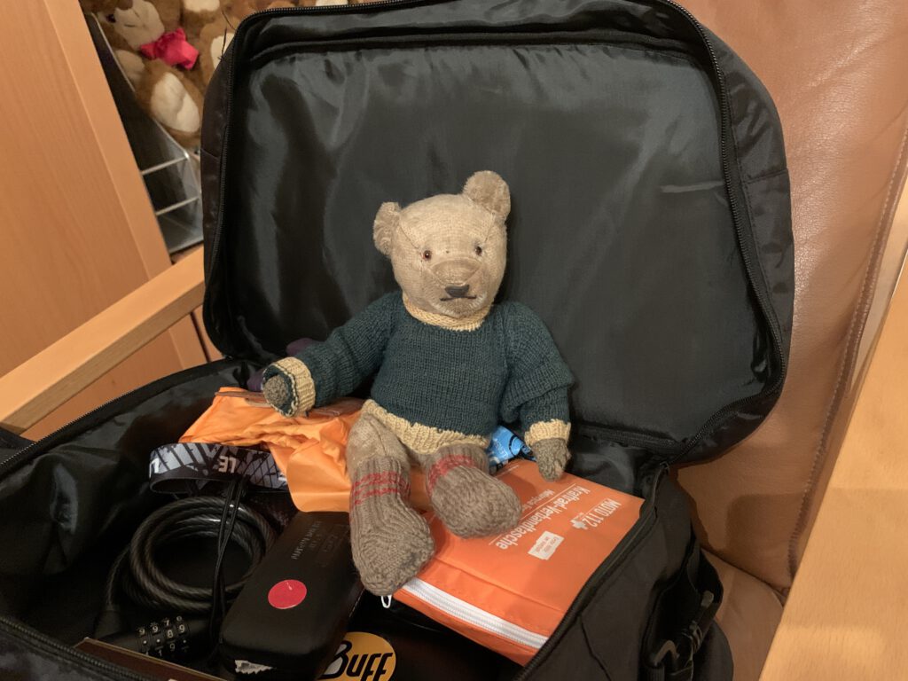 Bruno, Teddybär sitz in der Reisetasche